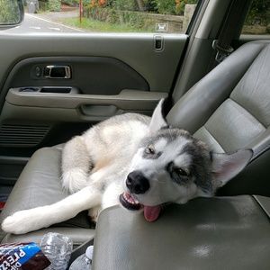 Meet your Posher, Blake